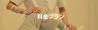 Price plan 料金プラン